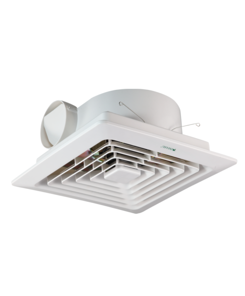 TUB815-816